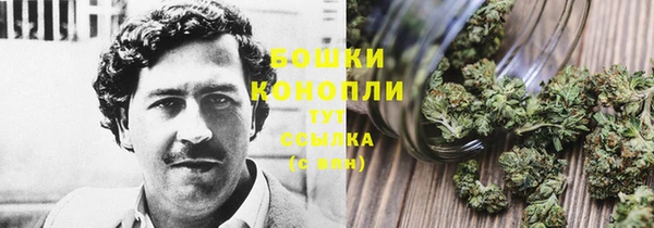метамфетамин Белокуриха