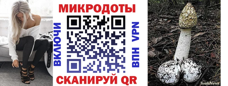 Псилоцибиновые грибы Cubensis  Купить закладки  Апшеронск 